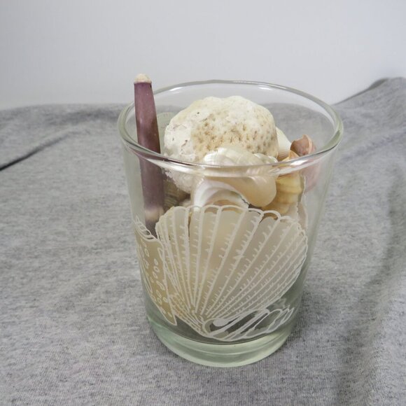 Sea Shell Glass & REAL sea shells with coral - Picture 1 of 12